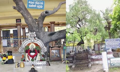 வன்னி இலையும் விநாயகரும்