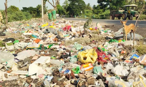 கடலூர் - நெல்லிக்குப்பம் சாலையில் கோண்டூரில் சாலேயோரம் கொட்டப்பட்டுள்ள குப்பைகளை படத்தில் காணலாம்.