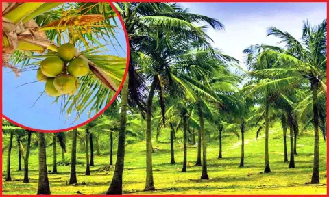 கோப்பு படம்.