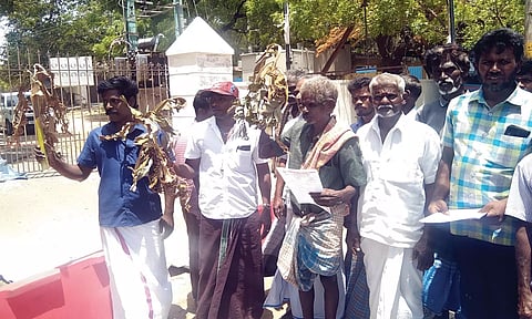 கருகிய வாழைகன்றுகளுடன் மனு அளிக்க வந்த விவசாயிகளை படத்தில் காணலாம்.