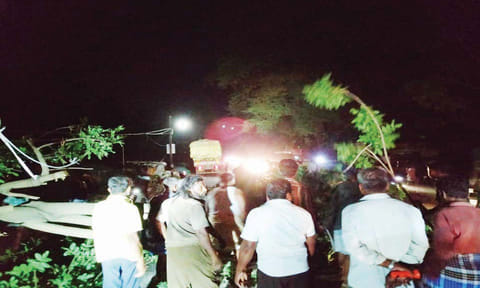 பண்ருட்டி தட்டாஞ்சாவடி காளி கோவில் லாரி மோதியதில் சாலையில் விழுந்து கிடந்த மரத்தினை படத்தில் காணலாம்.