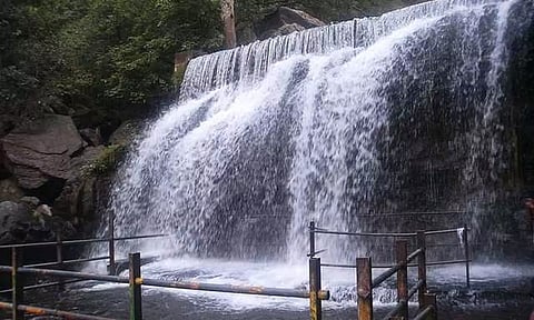 யானைகள் நடமாட்டம் எதிரொலி- சுருளி அருவியில் சுற்றுலா பயணிகள் குளிக்கத் தடை