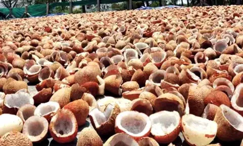 கோப்பு படம்.