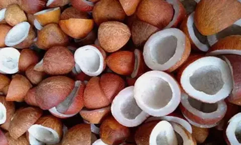ஆனைமலையில் கொப்பரை மூட்டைகள் வரத்து அதிகம்