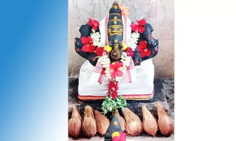 விசாலாட்சி விநாயகர் கோவிலில் நாளை சங்கடஹர சதுர்த்தி விழா