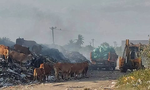 நகராட்சி சார்பில் கொட்டப்படும் மருத்துவக்கழிவுகள்.