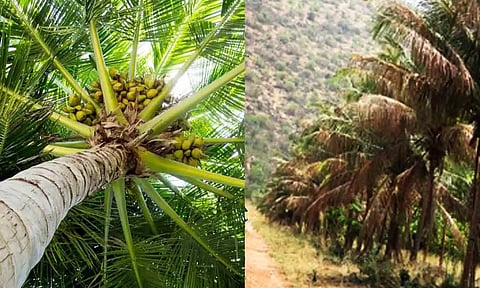 கோப்பு படம்.