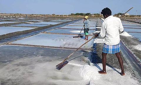 உப்பு உற்பத்தி பணியில் ஈடுபட்டுள்ள தொழிலாளர்கள்.
