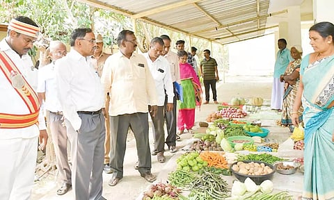 உழவர் சந்தையில் கலெக்டர் மகாபாரதி ஆய்வு செய்தார்.
