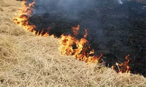வைக்கோல் கட்டுகள் எரிந்து சேதம்