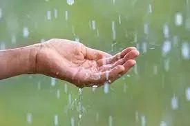 விழுப்புரம் மற்றும் சுற்றுவட்டார பகுதிகளில் நள்ளிரவில் தொடங்கிய மழை விடிய விடிய கொட்டி தீர்த்தது