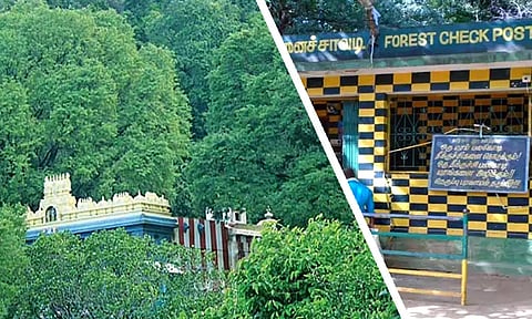 திருக்குறுங்குடி திருமலை நம்பி கோவிலுக்கு செல்ல 2 நாட்கள் தடை - வனத்துறை அறிவிப்பு