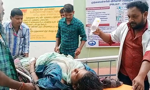 ஏற்காட்டில் காட்டெருமை தாக்கி பெண் படுகாயம்- வளர்ப்பு நாயால் தப்பினார்