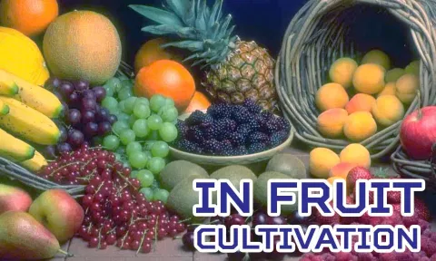 கோப்பு படம்.