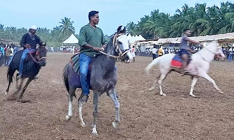 அந்தியூர் குருநாதசாமி கோவில் தேர்த்திருவிழாவில் ராஜஸ்தான் குதிரைகளுக்கு அனுமதி இல்லை