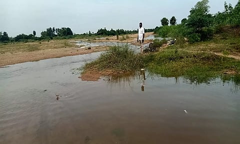 இரவு முழுவதும் பெய்த மழையால் உளுந்தூர்பேட்டை கெடிலம் ஆற்றுக்கு தண்ணீர் வருவதை படத்தில் காணலாம்.