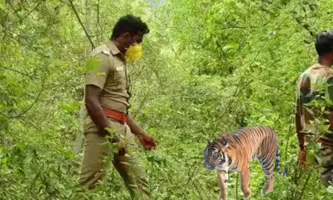 கோப்புப்படம்