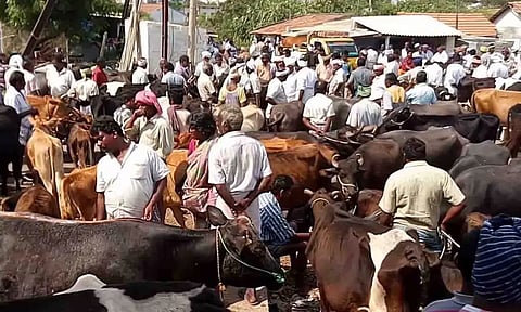 கோப்புப்படம்