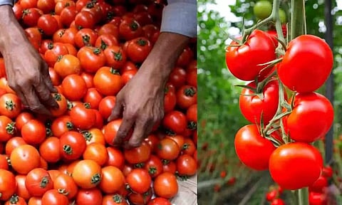 கோப்புப்படம்