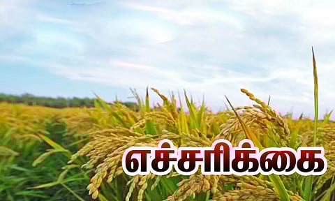 பயிர் காப்பீடு திட்டத்தில் உதவியாளர் பணி நியமனம் ஏதும் இல்லை- வேளாண்மை இணை இயக்குநர் தகவல்