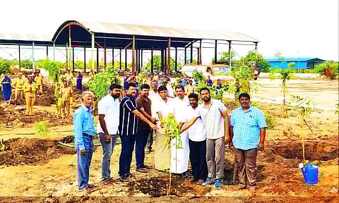 மரக்கன்றுகள் நடப்பட்ட காட்சி.