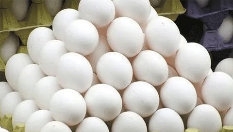 முட்டை விலை மேலும் உயரும்