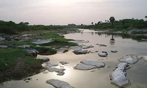 நொய்யல் ஆற்று தண்ணீரில் மீண்டும் உப்பு தன்மை அதிகரிப்பு