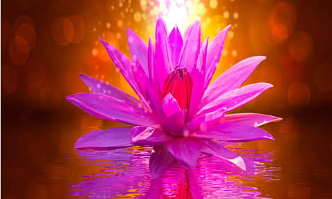 மலர்களின் குணங்கள்