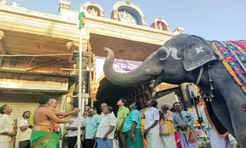 நெல்லையப்பர் கோவில் முன்பு  தேசிய கொடிக்கு மரியாதை செய்த காந்திமதி யானை