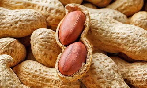 கோப்புபடம்