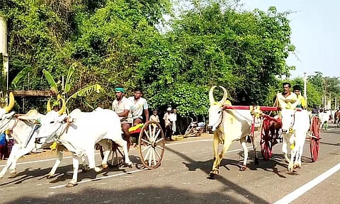 மாட்டு வண்டி பந்தயத்தில் சீறிப்பாய்ந்த காைளகள்.