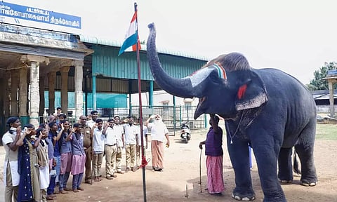 செங்கமலம் யானை தேசிய கொடியை மரியாதை செலுத்ததியது.