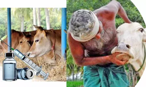 கோப்பு படம்.