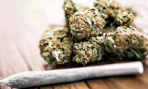 ஐ.டி. ஊழியரிடம் இருந்து 1.2 கிலோ பறிமுதல்.. பார்ட் டைம் கஞ்சா வியாபாரி அதிரடி கைது!