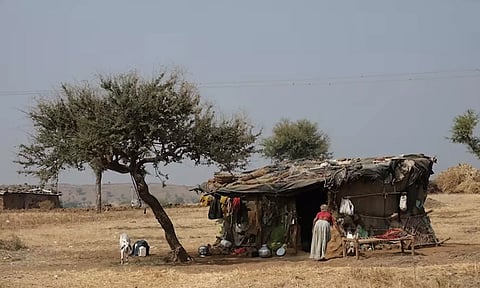 கோப்புப் படம்