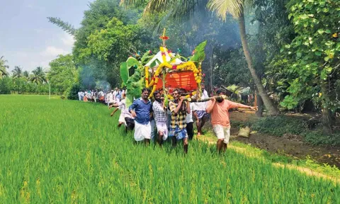 இறந்தவர் உடலை வயல் வழியே தூக்கி சென்றனர்.