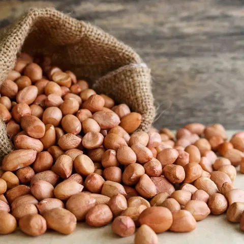 நிலக்கடலை ரூ.2லட்சத்து 18 ஆயிரத்து 546-க்கு விற்பனை
