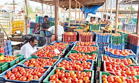 தக்காளி விற்பனை செய்யப்படும் காட்சி