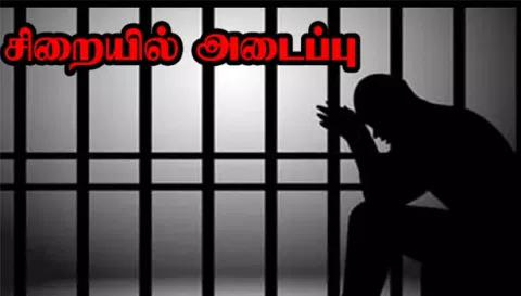 தங்க டாலர் திருடிய ஊழியர் சிறையில் அடைப்பு