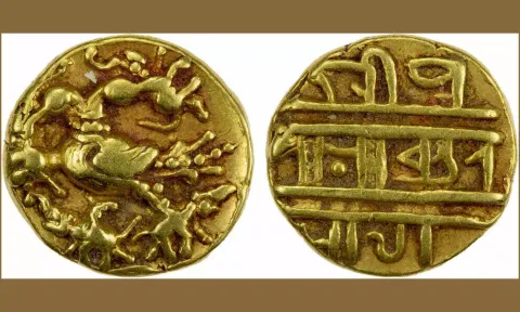 நெல்லூர் அருகே 450-க்கும் மேற்பட்ட விஜயநகர தங்க காசுகள் கண்டெடுப்பு