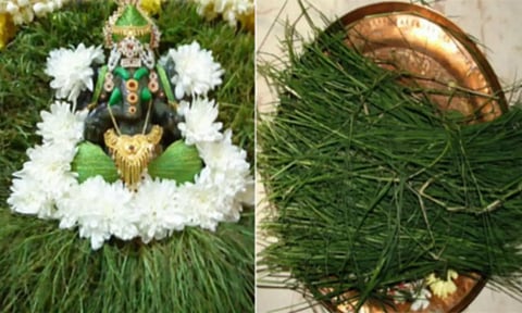 அருகம்புல்லும் விநாயகரும்!