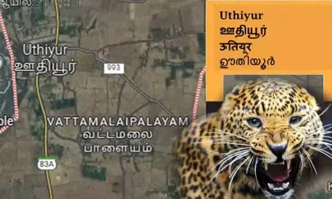 கோப்பு படம்.