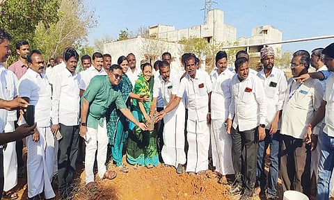 விழாவில் முன்னாள் அமைச்சர் பூங்கோதை ஆலடி அருணா மரக்கன்று நட்டபோது எடுத்தபடம். அருகில் தெற்கு மாவட்ட தி.மு.க. பொறுப்பாளர் ஜெயபாலன் மற்றும் நிர்வாகிகள் உள்ளனர்.