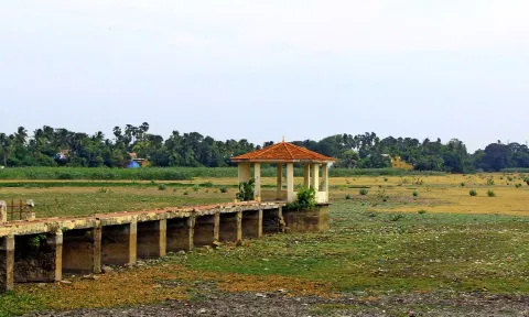 தண்ணீர் இல்லாமல் வறண்டு போன டவுன் நயினார்குளம்.
