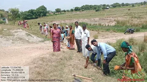 விக்கிரவாண்டி அருகே கொட்டியாம்பூண்டி ஏரியில் 100 பனை விதைகள் நடும் பணி நடைபெற்றது.