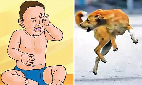 நாய் கடித்ததில் குழந்தை படுகாயம்