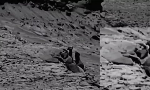 உண்மை எது:  கியூரியாசிட்டி அனுப்பிய வீடியோவை பிரக்யான் நிலவிலிருந்து அனுப்பியதாக பகிரப்பட்ட தவறான வீடியோ