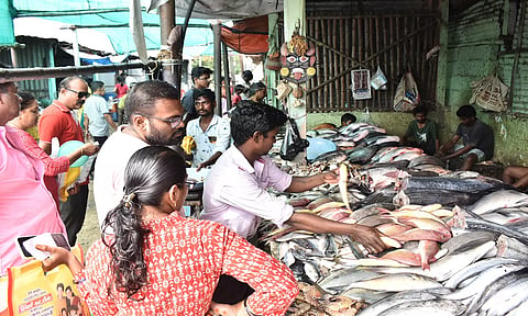 மீன்கள் வரத்து அதிகரிப்பால் விலை குறைந்தது