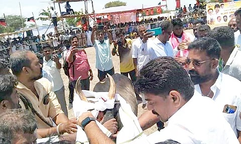 வடமாடு மஞ்சுவிரட்டு போட்டி