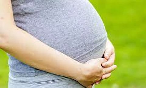 பொள்ளாச்சி அருகே பிளஸ்-2 மாணவியை பலாத்காரம் செய்து கர்ப்பமாக்கிய வாலிபர்